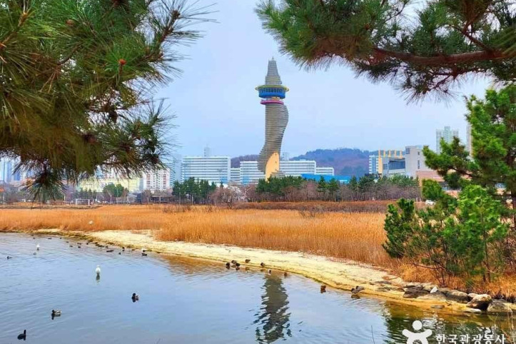 청초호 호수공원 여행 추천 - 메고지고
