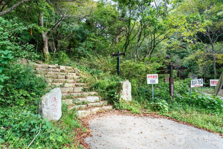 개심사 가는 길 여행 추천 - 메고지고