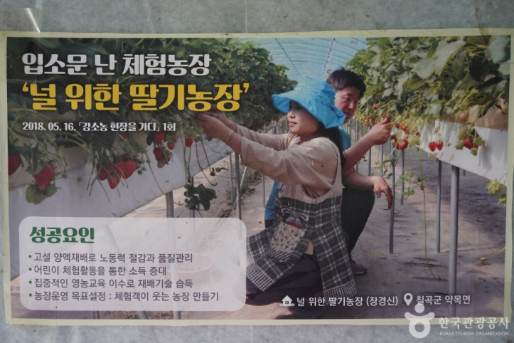 널위한딸기농장 여행 추천 - 메고지고