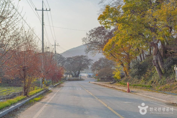 모평마을 여행 추천 - 메고지고