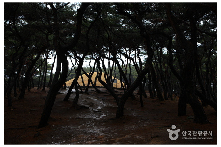 경주 선덕여왕릉 여행 추천 - 메고지고