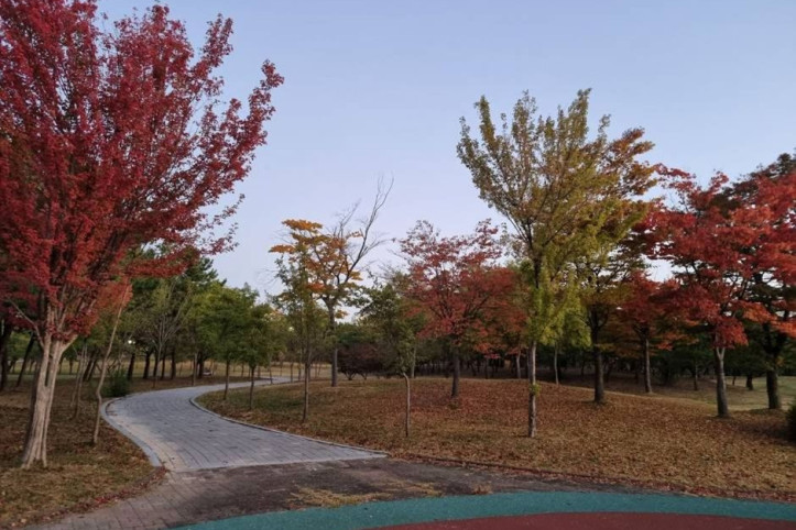 안산호수공원 여행 추천 - 메고지고