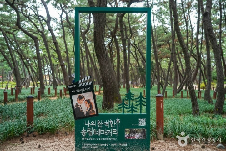 송도솔밭도시숲 여행 추천 - 메고지고