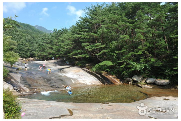 도림사 계곡 여행 추천 - 메고지고