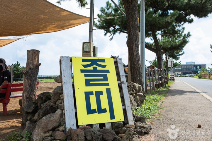졸띠유채밭 여행 추천 - 메고지고
