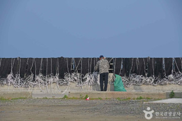 갈목해변 여행 추천 - 메고지고
