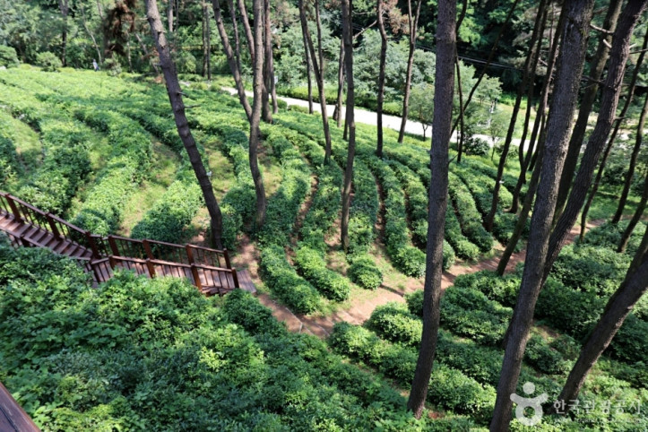 익산산림조합산림문화체험관 여행 추천 - 메고지고