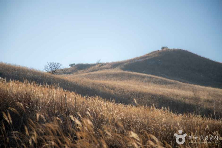 황매산 군립공원 여행 추천 - 메고지고