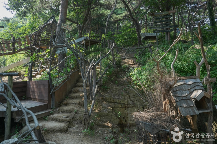 톰아저씨 트리하우스 여행 추천 - 메고지고