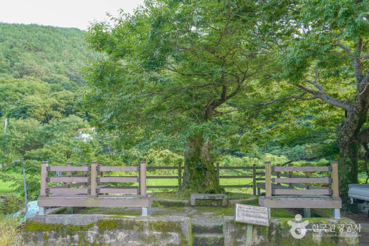 무지돌이마을 여행 추천 - 메고지고