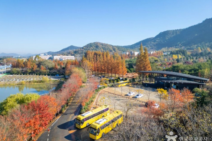 전라남도 산림연구원 여행 추천 - 메고지고