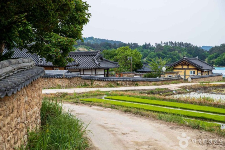 거창 황산마을 옛 담장 여행 추천 - 메고지고