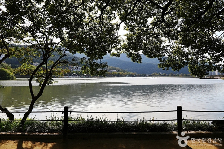수성못상화동산 여행 추천 - 메고지고