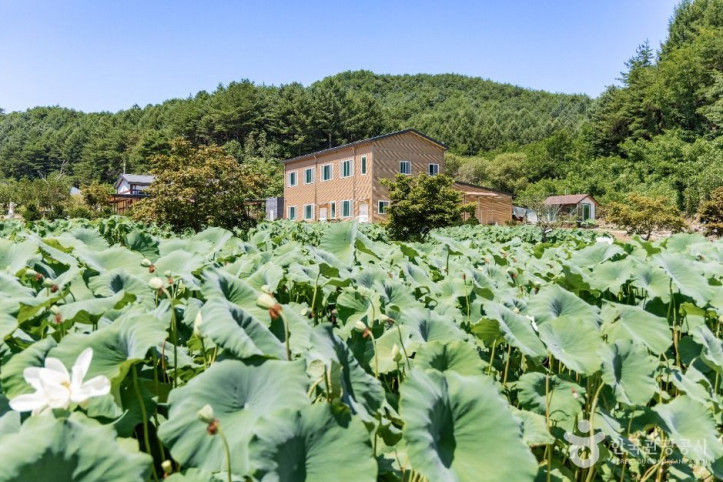 봉화산사 여행 추천 - 메고지고