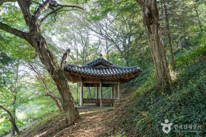 남희정 여행 추천 - 메고지고