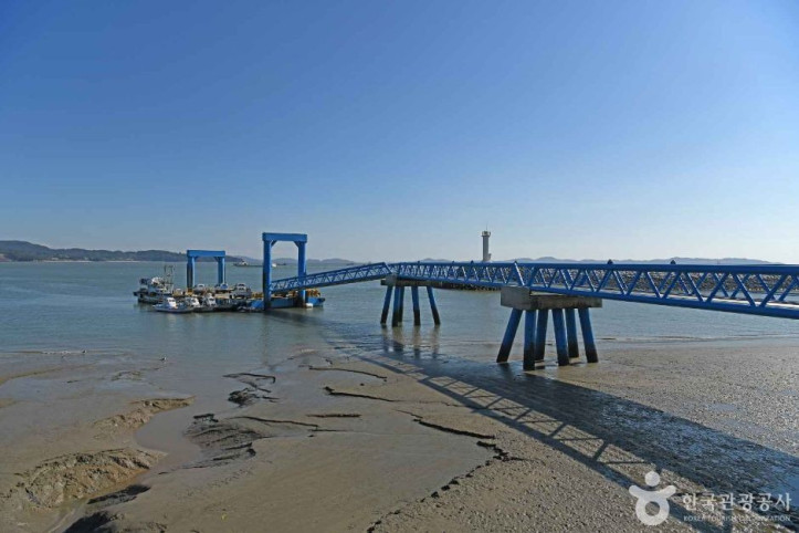 어류정항 여행 추천 - 메고지고