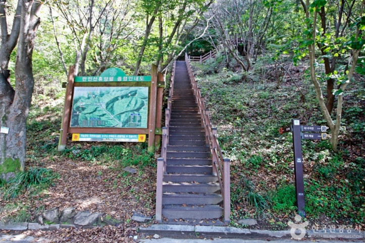 만인산푸른학습원 여행 추천 - 메고지고