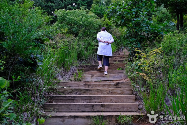 천마근린공원 여행 추천 - 메고지고
