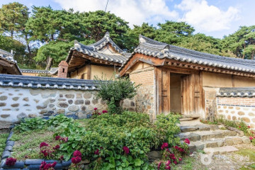 괴산 율지리 미선나무 자생지 여행 추천 - 메고지고