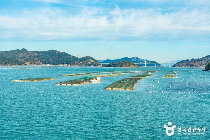 다도해 해상국립공원(완도) 여행 추천 - 메고지고