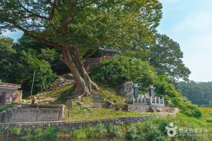 남계정 여행 추천 - 메고지고
