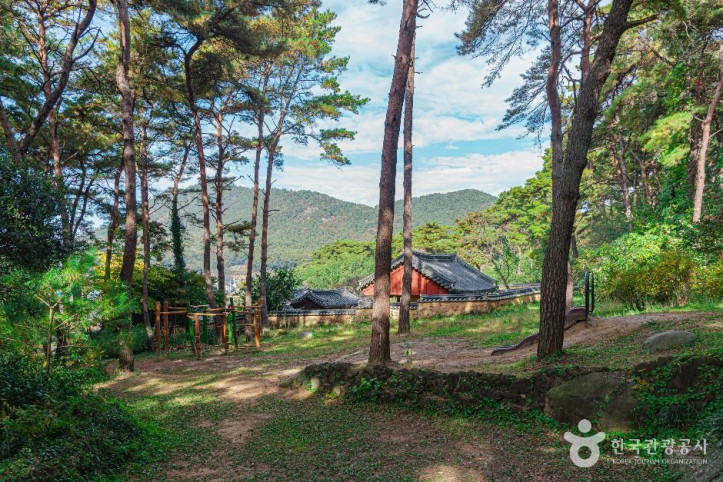 제봉산 마법의 숲 체험원 여행 추천 - 메고지고