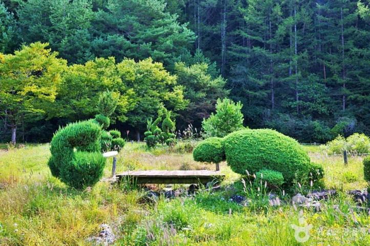 일월산 자생화공원 여행 추천 - 메고지고