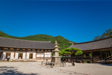 내소사 전나무 숲길 여행 추천 - 메고지고