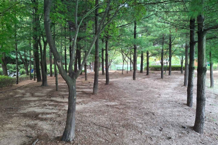 대현산배수지공원·대현산배수지공원 모노레일 여행 추천 - 메고지고