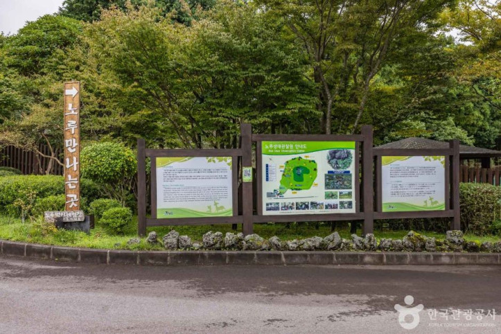 제주 노루생태관찰원 여행 추천 - 메고지고