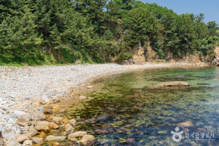 천곡항 여행 추천 - 메고지고