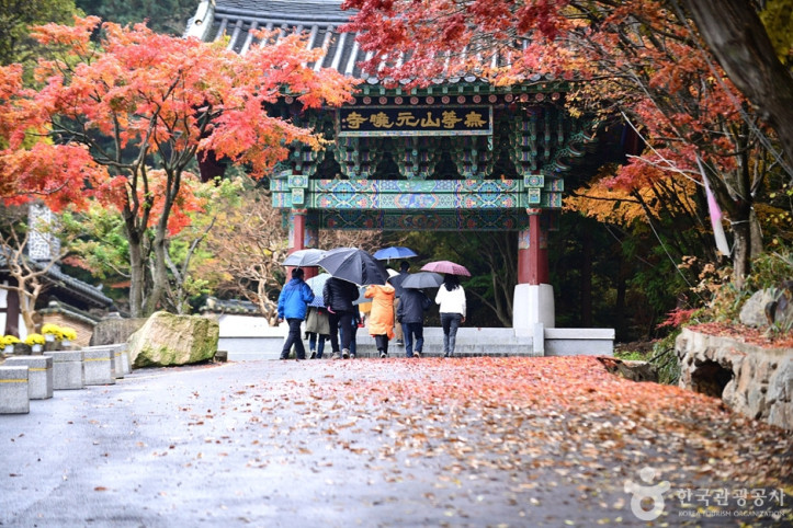 원효사(광주) 여행 추천 - 메고지고