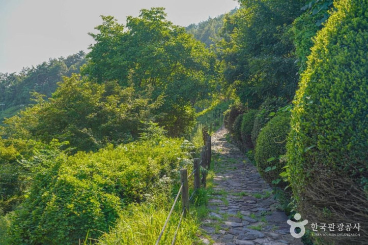 숲쟁이공원 여행 추천 - 메고지고