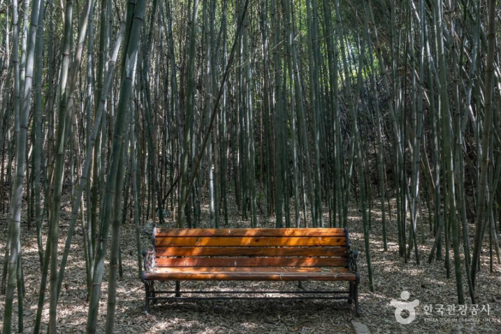 면천읍성 대숲바람길 여행 추천 - 메고지고