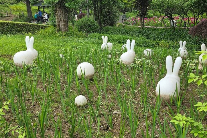 과천야생화자연학습장 여행 추천 - 메고지고