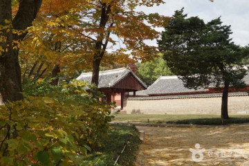 종묘광장공원 여행 추천 - 메고지고