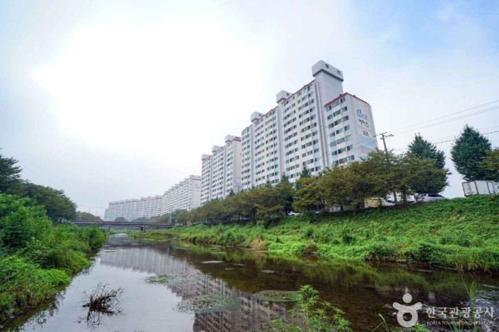칠원천 벚꽃길 여행 추천 - 메고지고