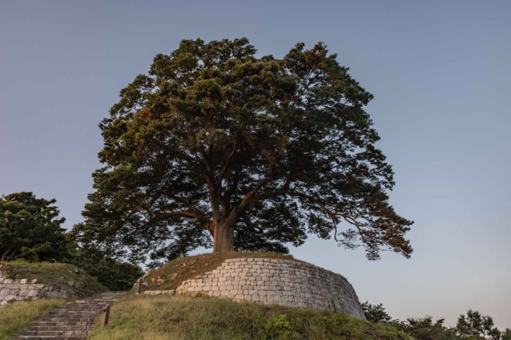 부여 가림성 여행 추천 - 메고지고