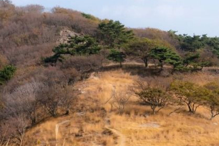 굴업도 여행 추천 - 메고지고