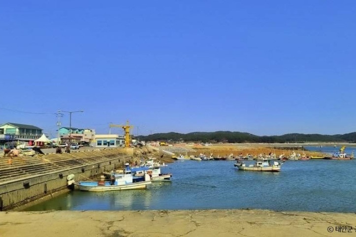 드르니항 여행 추천 - 메고지고