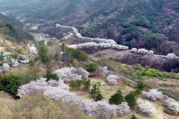 천태산 여행 추천 - 메고지고