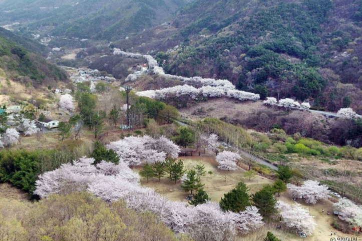 안태공원 여행 추천 - 메고지고