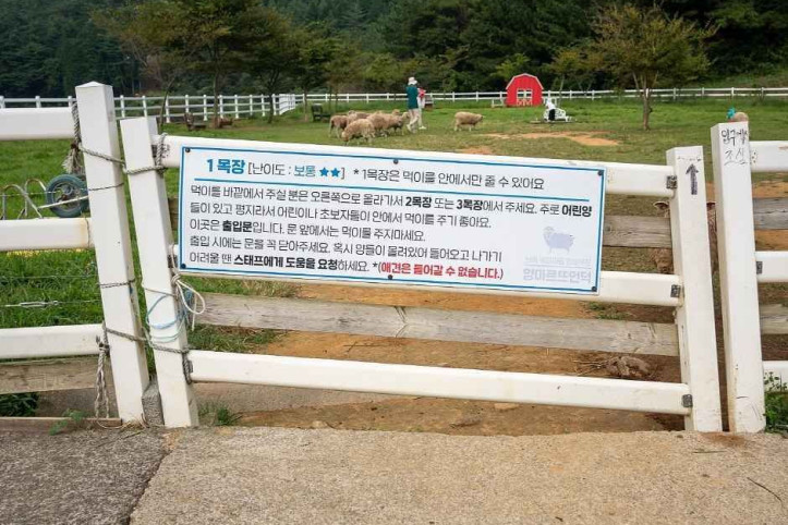 남해양떼목장 양마르뜨언덕 여행 추천 - 메고지고
