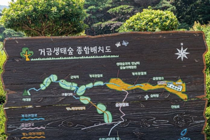 거금생태숲 여행 추천 - 메고지고