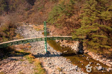 난고 김삿갓 유적지 여행 추천 - 메고지고