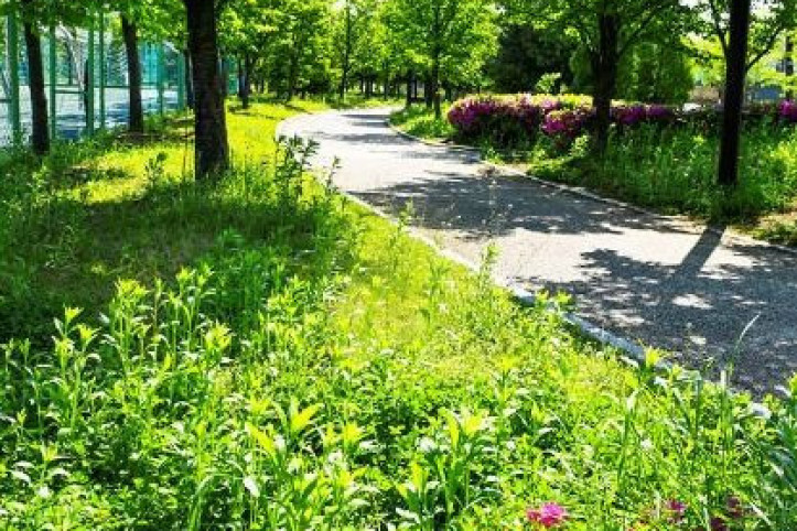 향남화합공원 여행 추천 - 메고지고