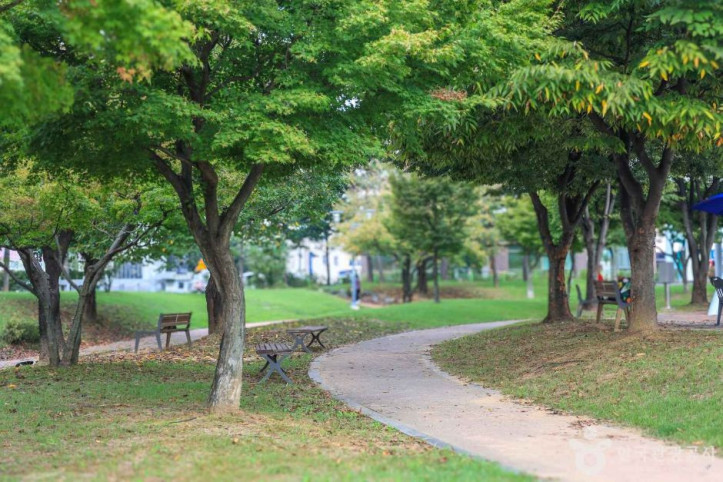 안성맞춤가족공원 여행 추천 - 메고지고