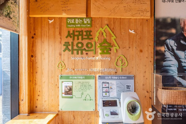 서귀포 치유의 숲 여행 추천 - 메고지고