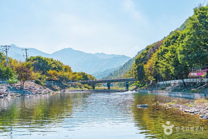 장선천 여행 추천 - 메고지고