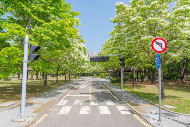 수원어린이교통공원 여행 추천 - 메고지고